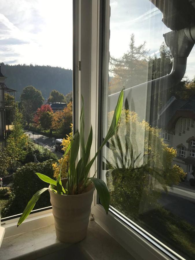 Ferienwohnung in Villa Bad Elster Exterior foto